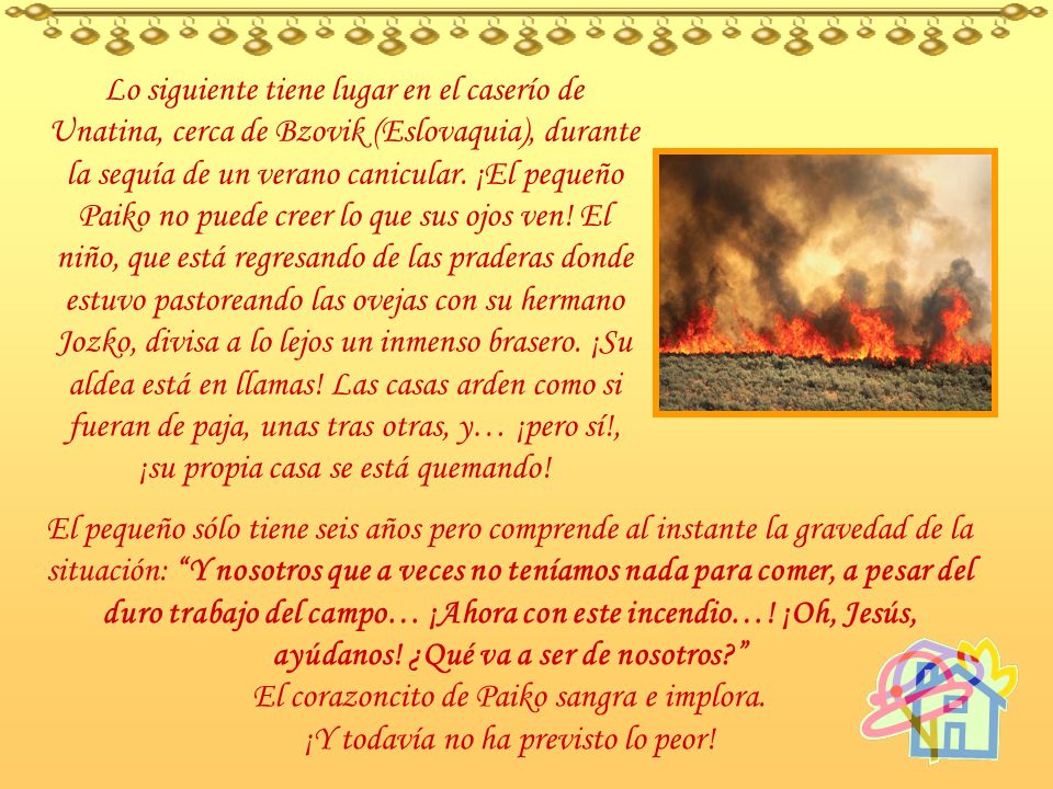 El corazoncito de Paiko sangra e implora.