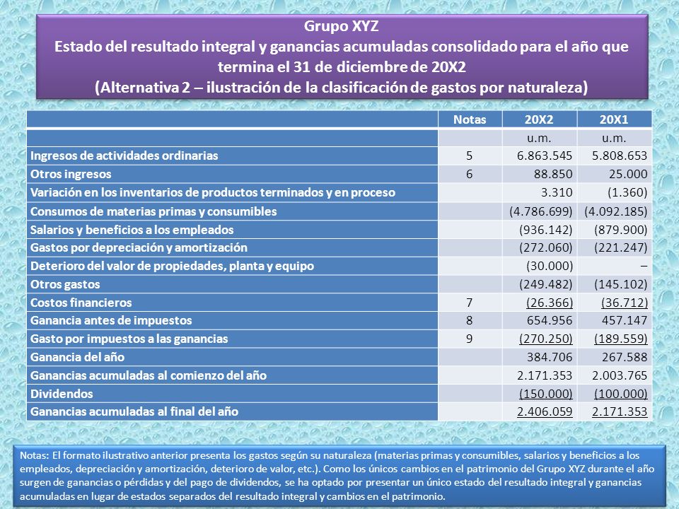 Grupo XYZ Estado del resultado integral y ganancias acumuladas consolidado para el año que termina el 31 de diciembre de 20X2 (Alternativa 2 – ilustración de la clasificación de gastos por naturaleza)