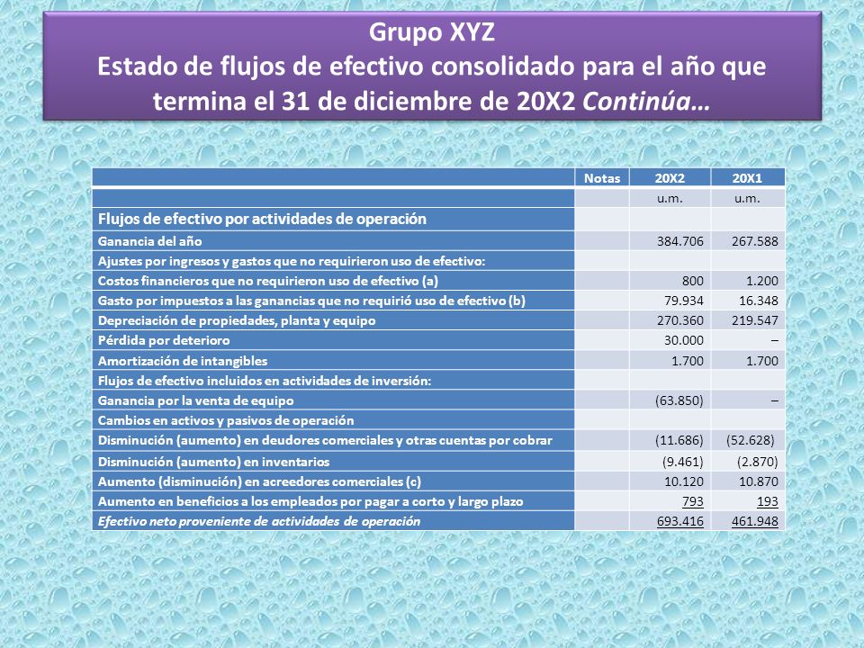 Grupo XYZ Estado de flujos de efectivo consolidado para el año que termina el 31 de diciembre de 20X2 Continúa…