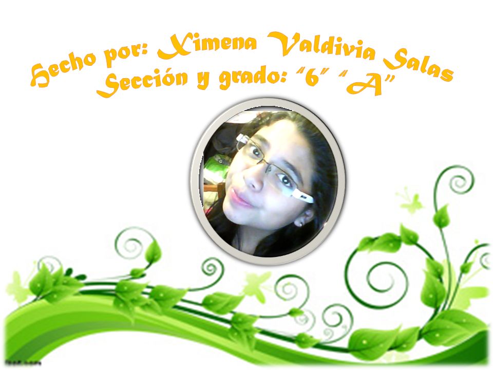 Hecho por: Ximena Valdivia Salas Sección y grado: 6 A