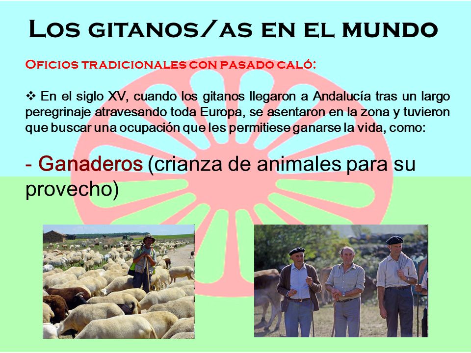 Los gitanos/as en el mundo