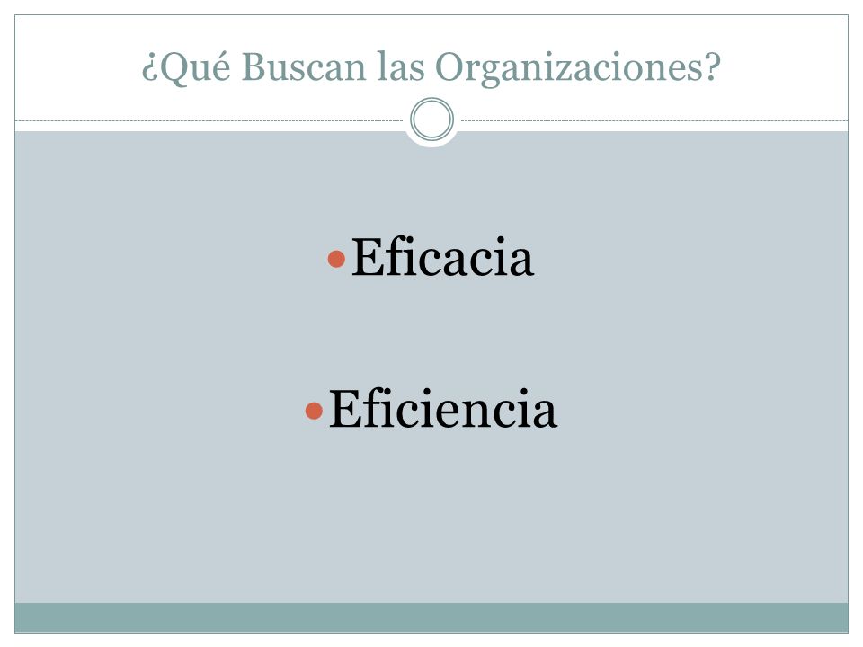 ¿Qué Buscan las Organizaciones