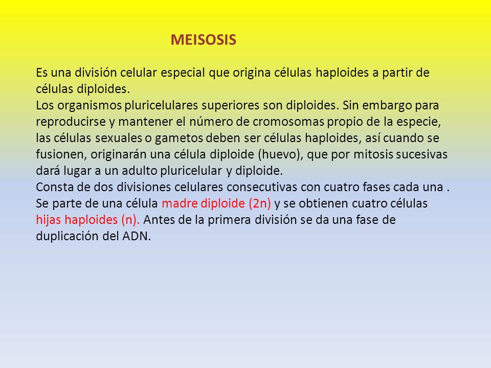 MEISOSIS Es una división celular especial que origina células haploides a partir de células diploides.