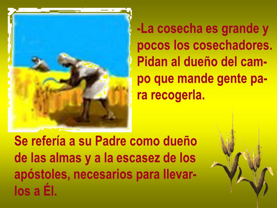 -La cosecha es grande y pocos los cosechadores. Pidan al dueño del cam- po que mande gente pa- ra recogerla.