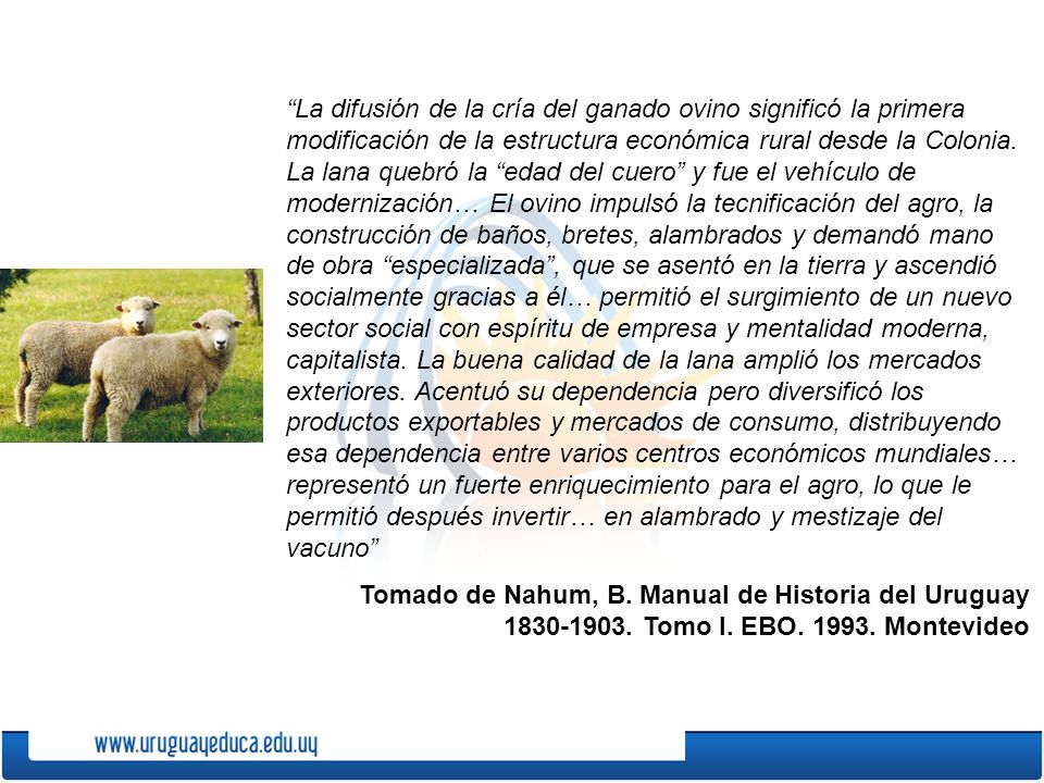 La difusión de la cría del ganado ovino significó la primera modificación de la estructura económica rural desde la Colonia. La lana quebró la edad del cuero y fue el vehículo de modernización… El ovino impulsó la tecnificación del agro, la construcción de baños, bretes, alambrados y demandó mano de obra especializada , que se asentó en la tierra y ascendió socialmente gracias a él… permitió el surgimiento de un nuevo sector social con espíritu de empresa y mentalidad moderna, capitalista. La buena calidad de la lana amplió los mercados exteriores. Acentuó su dependencia pero diversificó los productos exportables y mercados de consumo, distribuyendo esa dependencia entre varios centros económicos mundiales… representó un fuerte enriquecimiento para el agro, lo que le permitió después invertir… en alambrado y mestizaje del vacuno