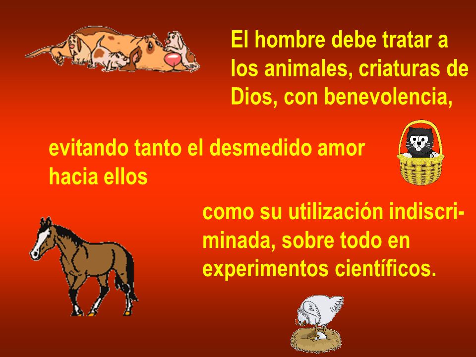 El hombre debe tratar a los animales, criaturas de. Dios, con benevolencia, evitando tanto el desmedido amor.