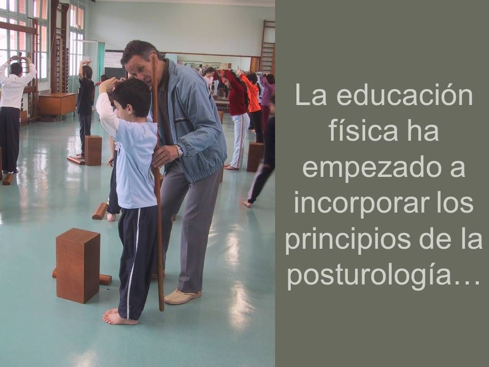 La educación física ha empezado a incorporar los principios de la posturología…