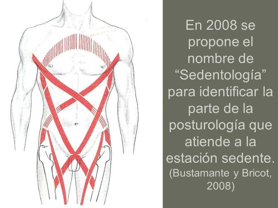En 2008 se propone el nombre de Sedentología para identificar la parte de la posturología que atiende a la estación sedente.