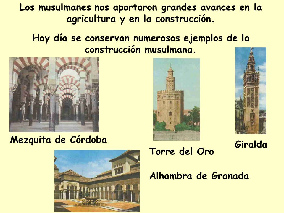 Hoy día se conservan numerosos ejemplos de la construcción musulmana.