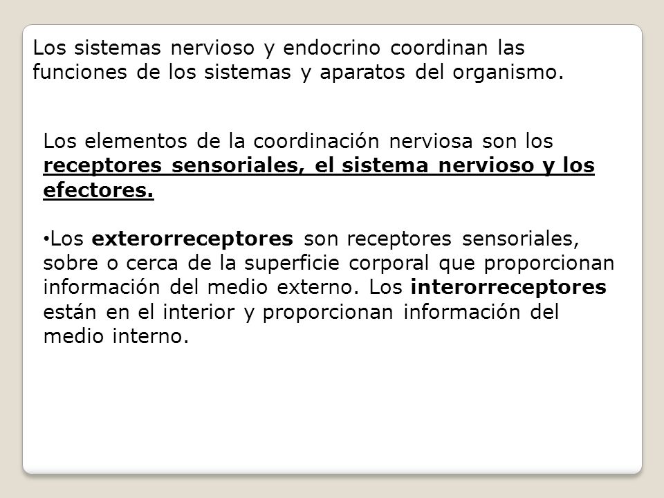 Los sistemas nervioso y endocrino coordinan las funciones de los sistemas y aparatos del organismo.