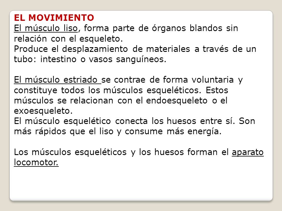 EL MOVIMIENTO El músculo liso, forma parte de órganos blandos sin relación con el esqueleto.