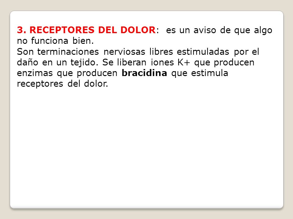 3. RECEPTORES DEL DOLOR: es un aviso de que algo no funciona bien.
