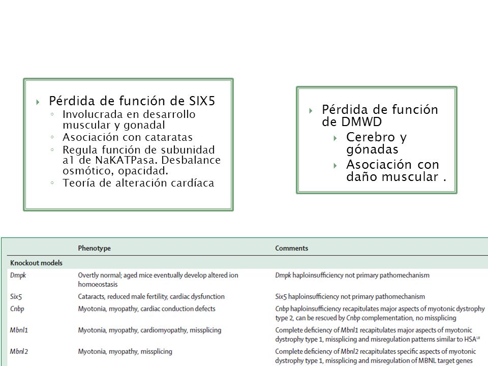 Pérdida de función de SIX5 Pérdida de función de DMWD