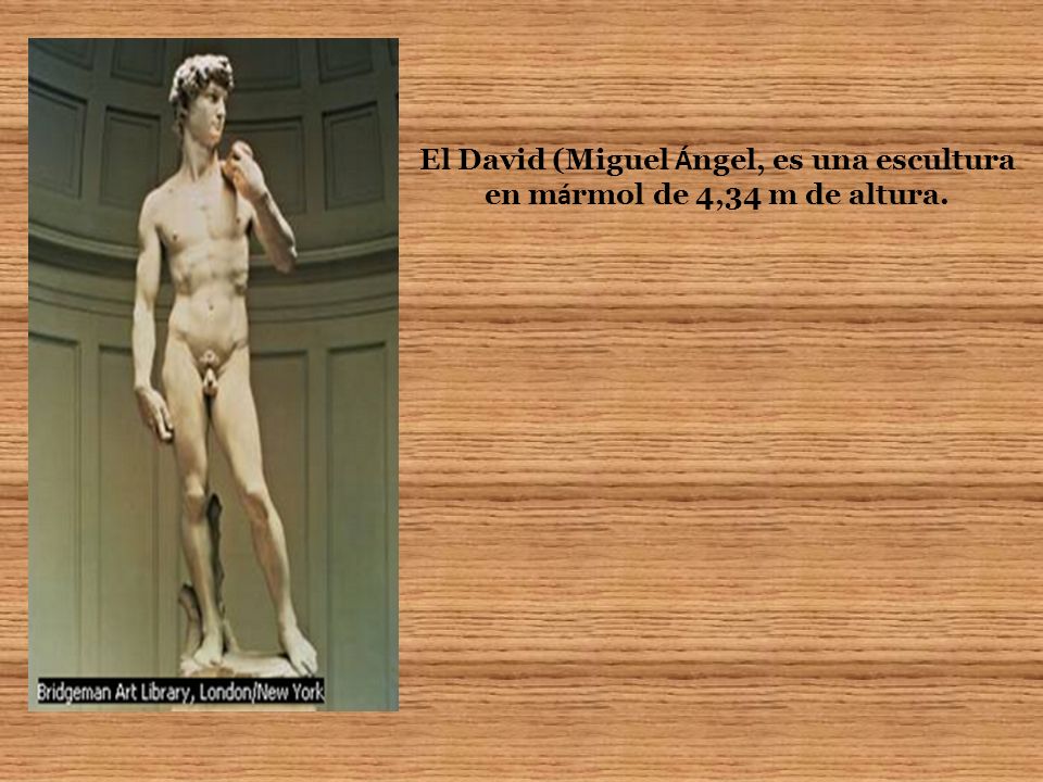 El David (Miguel Ángel, es una escultura en mármol de 4,34 m de altura.