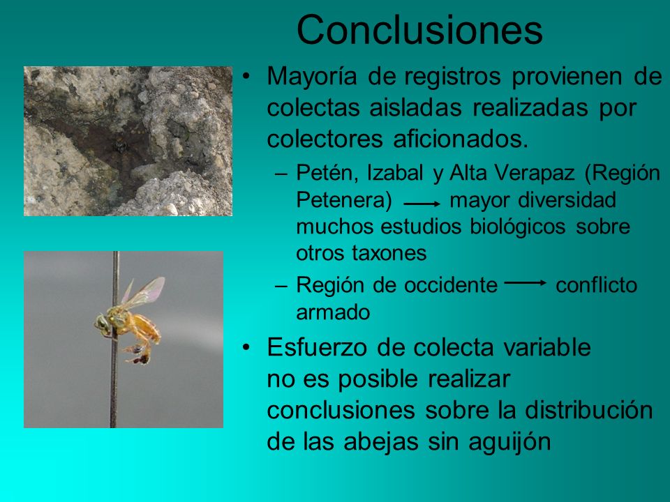 Conclusiones Mayoría de registros provienen de colectas aisladas realizadas por colectores aficionados.