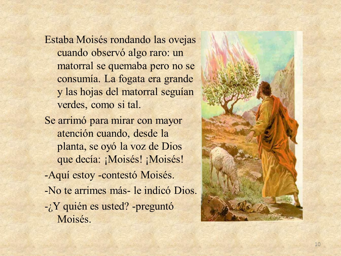 Estaba Moisés rondando las ovejas cuando observó algo raro: un matorral se quemaba pero no se consumía.