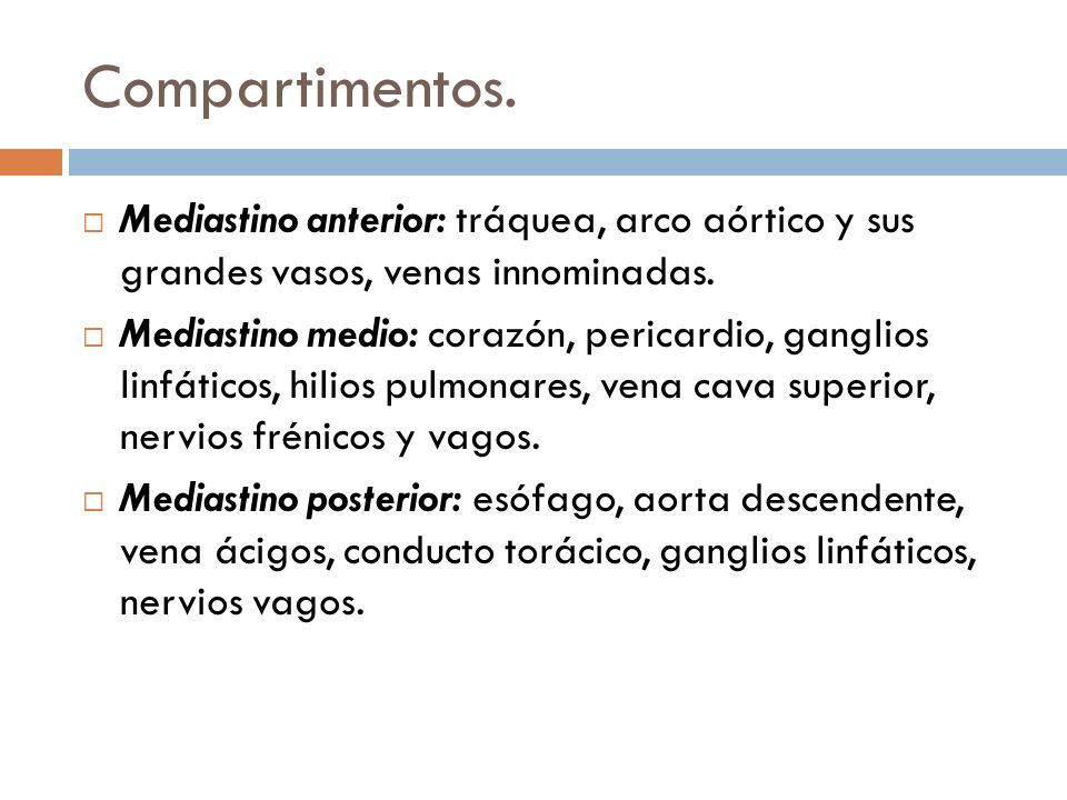 Compartimentos. Mediastino anterior: tráquea, arco aórtico y sus grandes vasos, venas innominadas.