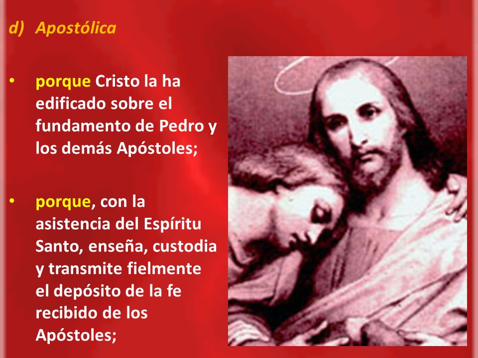 Apostólica porque Cristo la ha edificado sobre el fundamento de Pedro y los demás Apóstoles;