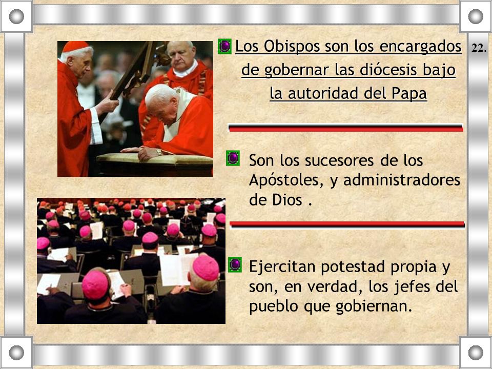 Los Obispos son los encargados de gobernar las diócesis bajo