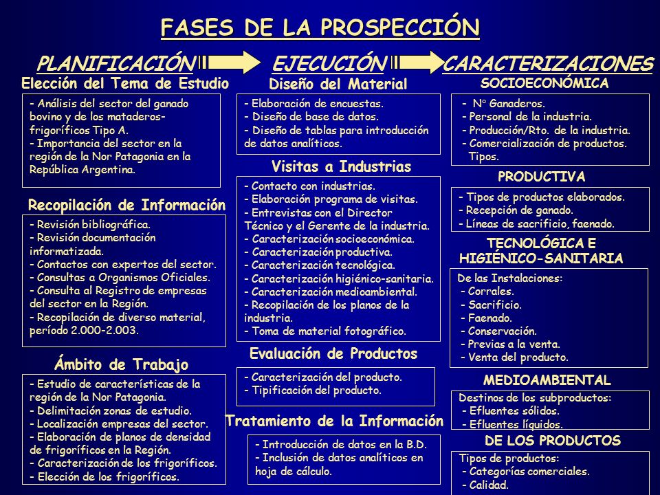 FASES DE LA PROSPECCIÓN