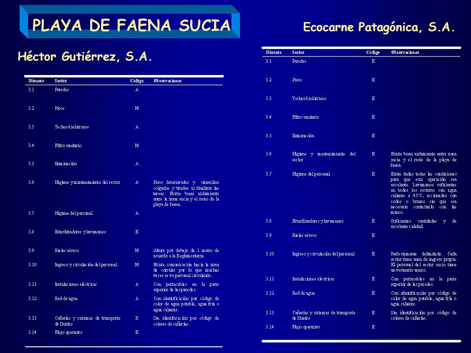 PLAYA DE FAENA SUCIA Ecocarne Patagónica, S.A. Héctor Gutiérrez, S.A.