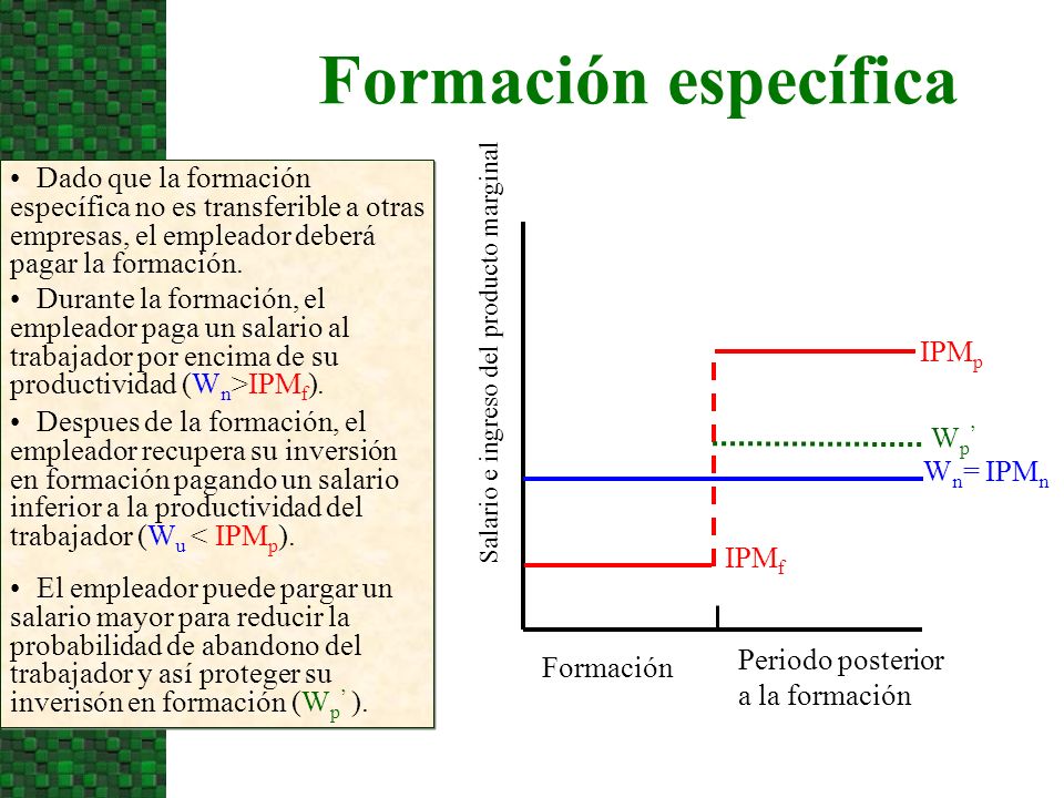 10/07/09 Formación específica. Dado que la formación específica no es transferible a otras empresas, el empleador deberá pagar la formación.
