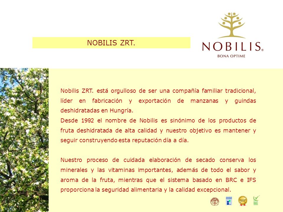 NOBILIS ZRT.