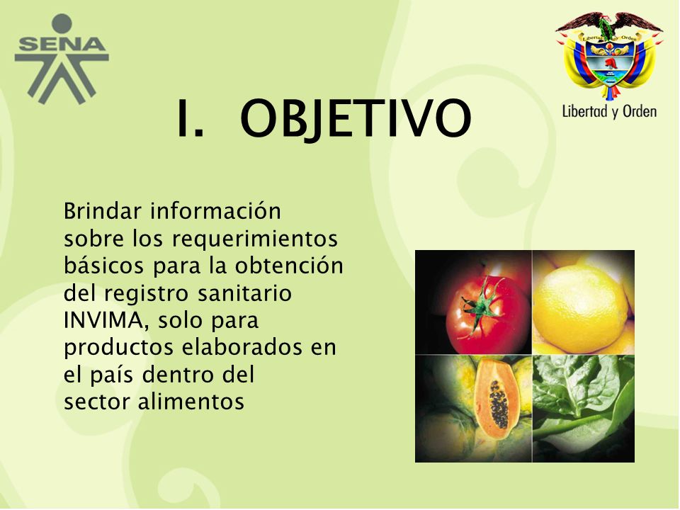 I. OBJETIVO