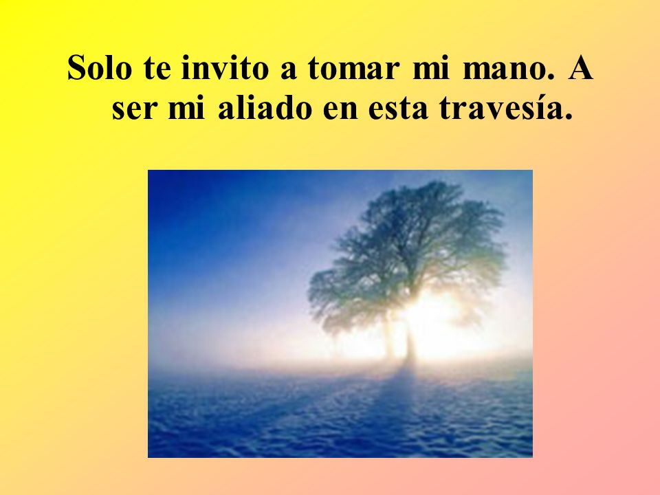 Solo te invito a tomar mi mano. A ser mi aliado en esta travesía.