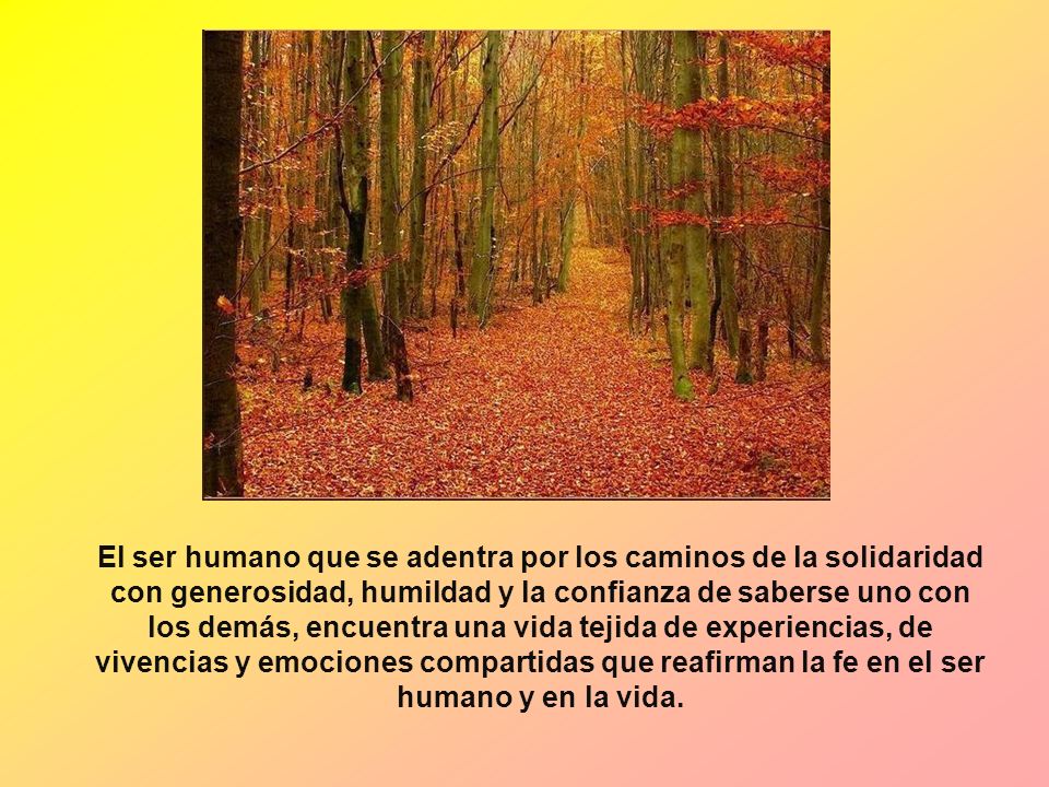 El ser humano que se adentra por los caminos de la solidaridad con generosidad, humildad y la confianza de saberse uno con los demás, encuentra una vida tejida de experiencias, de vivencias y emociones compartidas que reafirman la fe en el ser humano y en la vida.