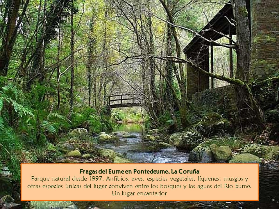 Fragas del Eume en Pontedeume, La Coruña Parque natural desde 1997