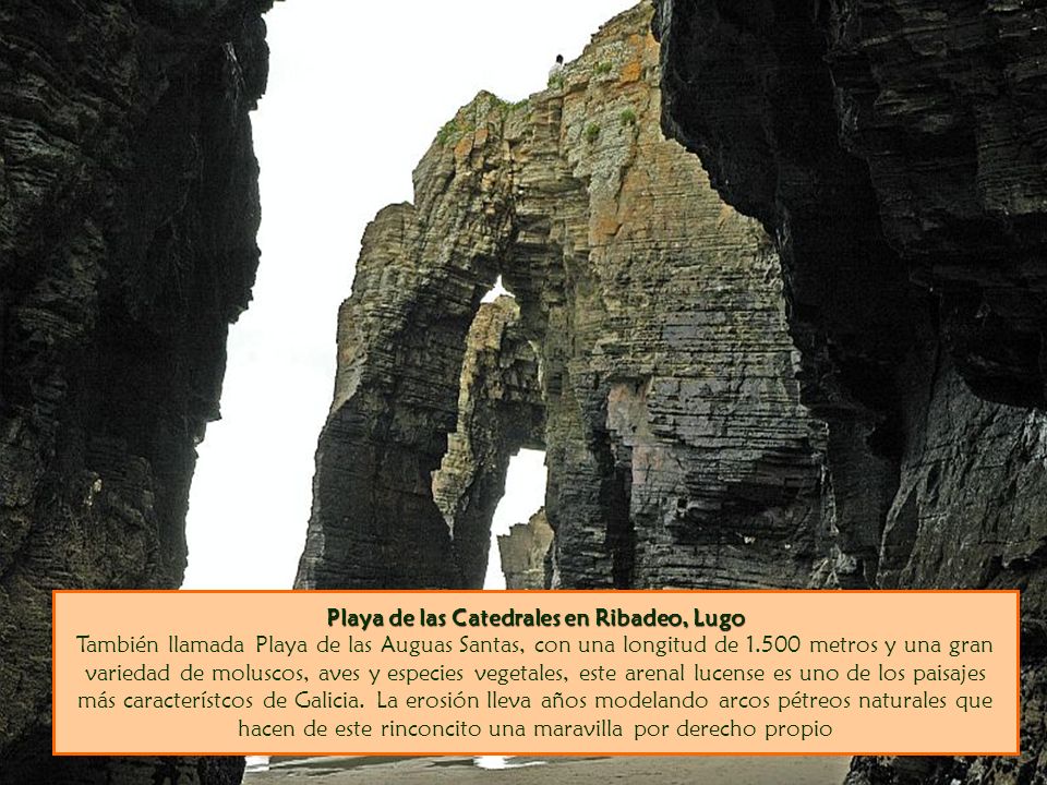 Playa de las Catedrales en Ribadeo, Lugo También llamada Playa de las Auguas Santas, con una longitud de metros y una gran variedad de moluscos, aves y especies vegetales, este arenal lucense es uno de los paisajes más característcos de Galicia.