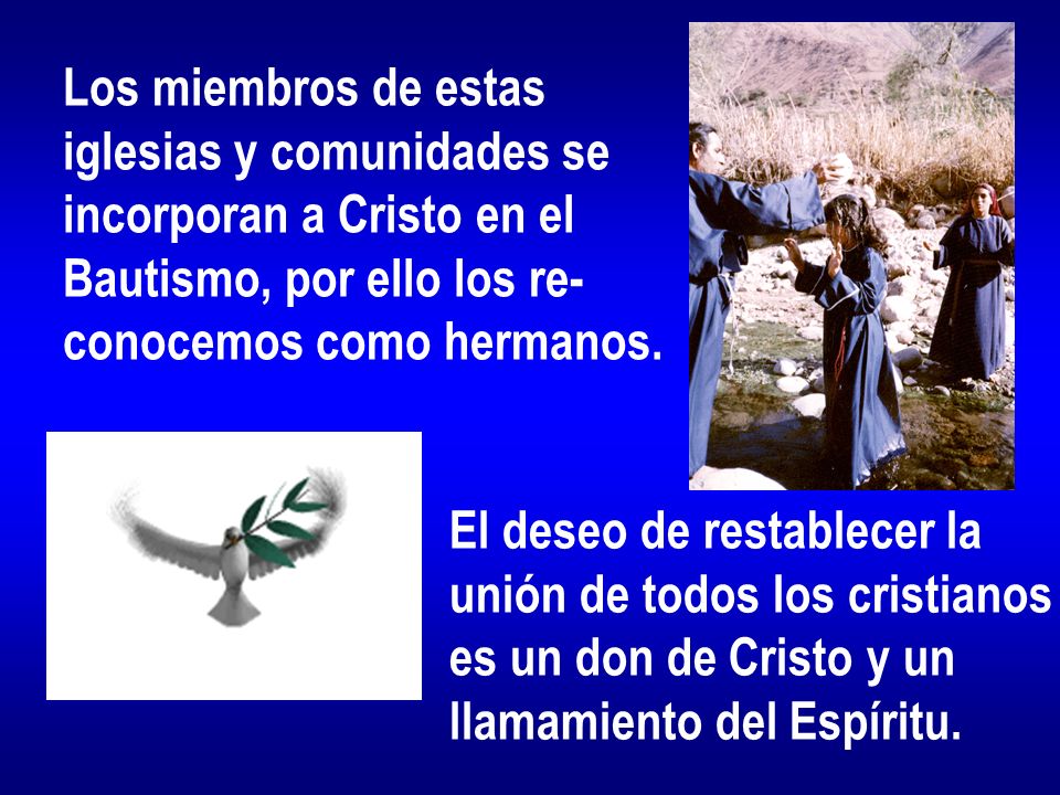 Los miembros de estas iglesias y comunidades se. incorporan a Cristo en el. Bautismo, por ello los re-