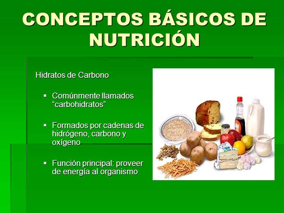 CONCEPTOS BÁSICOS DE NUTRICIÓN
