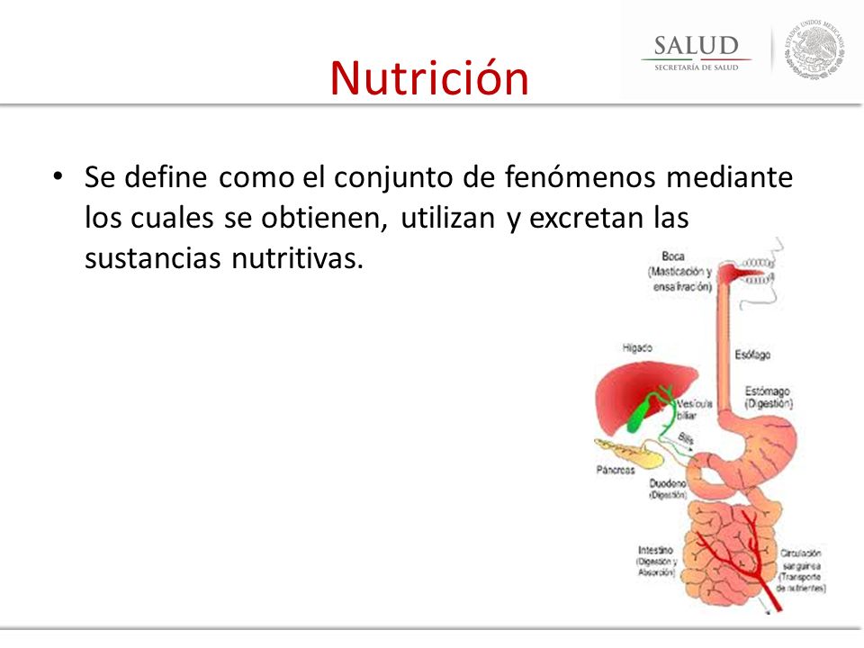 Nutrición Se define como el conjunto de fenómenos mediante los cuales se obtienen, utilizan y excretan las sustancias nutritivas.