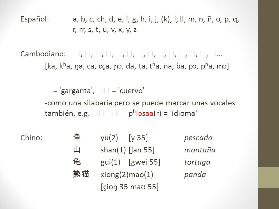 Español: a, b, c, ch, d, e, f, g, h, i, j, (k), l, ll, m, n, ñ, o, p, q, r, rr, s, t, u, v, x, y, z