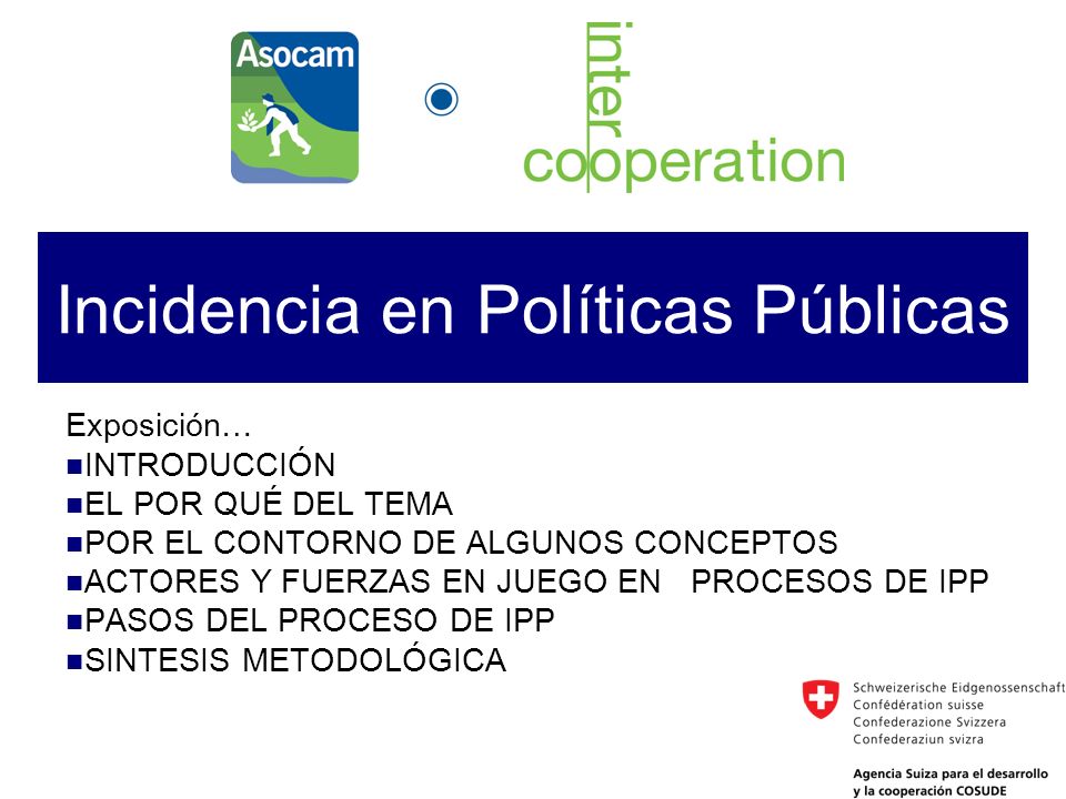 Incidencia en Políticas Públicas