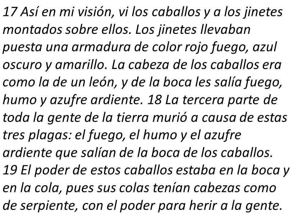 17 Así en mi visión, vi los caballos y a los jinetes montados sobre ellos.