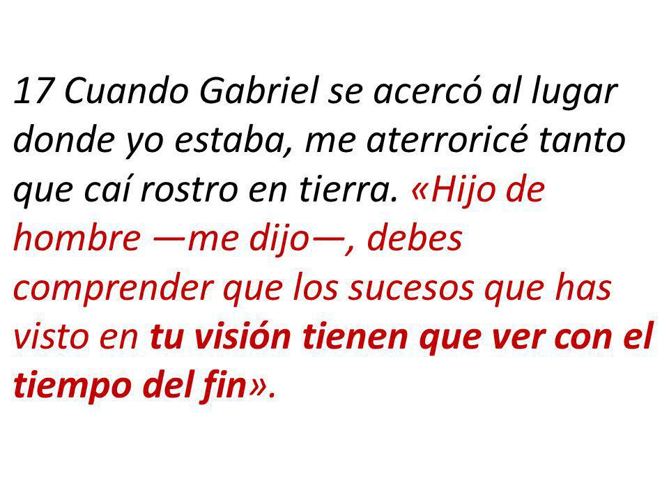 17 Cuando Gabriel se acercó al lugar donde yo estaba, me aterroricé tanto que caí rostro en tierra.