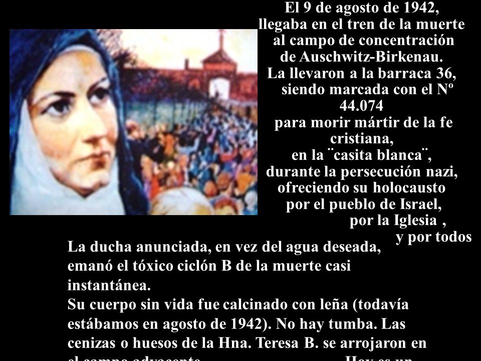 llegaba en el tren de la muerte al campo de concentración