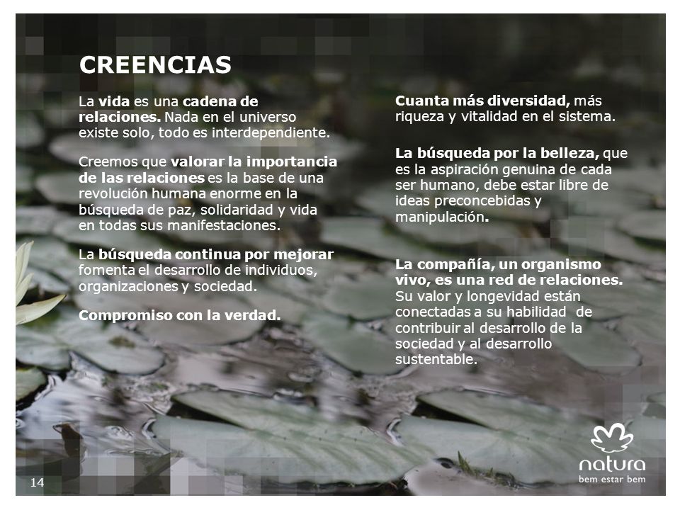 CREENCIAS La vida es una cadena de relaciones. Nada en el universo existe solo, todo es interdependiente.