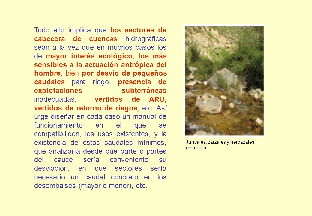 Todo ello implica que los sectores de cabecera de cuencas hidrográficas sean a la vez que en muchos casos los de mayor interés ecológico, los más sensibles a la actuación antrópica del hombre, bien por desvío de pequeños caudales para riego, presencia de explotaciones subterráneas inadecuadas, vertidos de ARU, vertidos de retorno de riegos, etc. Así urge diseñar en cada caso un manual de funcionamiento en el que se compatibilicen, los usos existentes, y la existencia de estos caudales mínimos, que analizaría desde que parte o partes del cauce sería conveniente su desviación, en que sectores sería necesario un caudal concreto en los desembalses (mayor o menor), etc.