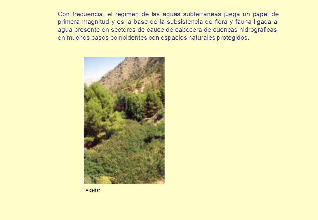 Con frecuencia, el régimen de las aguas subterráneas juega un papel de primera magnitud y es la base de la subsistencia de flora y fauna ligada al agua presente en sectores de cauce de cabecera de cuencas hidrográficas, en muchos casos coincidentes con espacios naturales protegidos.