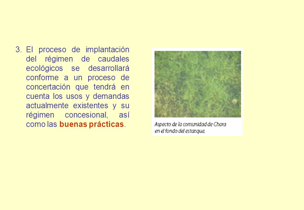 El proceso de implantación del régimen de caudales ecológicos se desarrollará conforme a un proceso de concertación que tendrá en cuenta los usos y demandas actualmente existentes y su régimen concesional, así como las buenas prácticas.