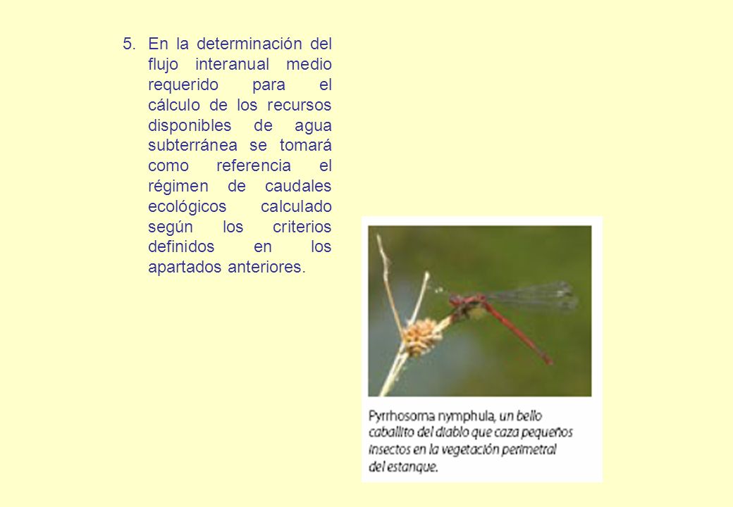En la determinación del flujo interanual medio requerido para el cálculo de los recursos disponibles de agua subterránea se tomará como referencia el régimen de caudales ecológicos calculado según los criterios definidos en los apartados anteriores.