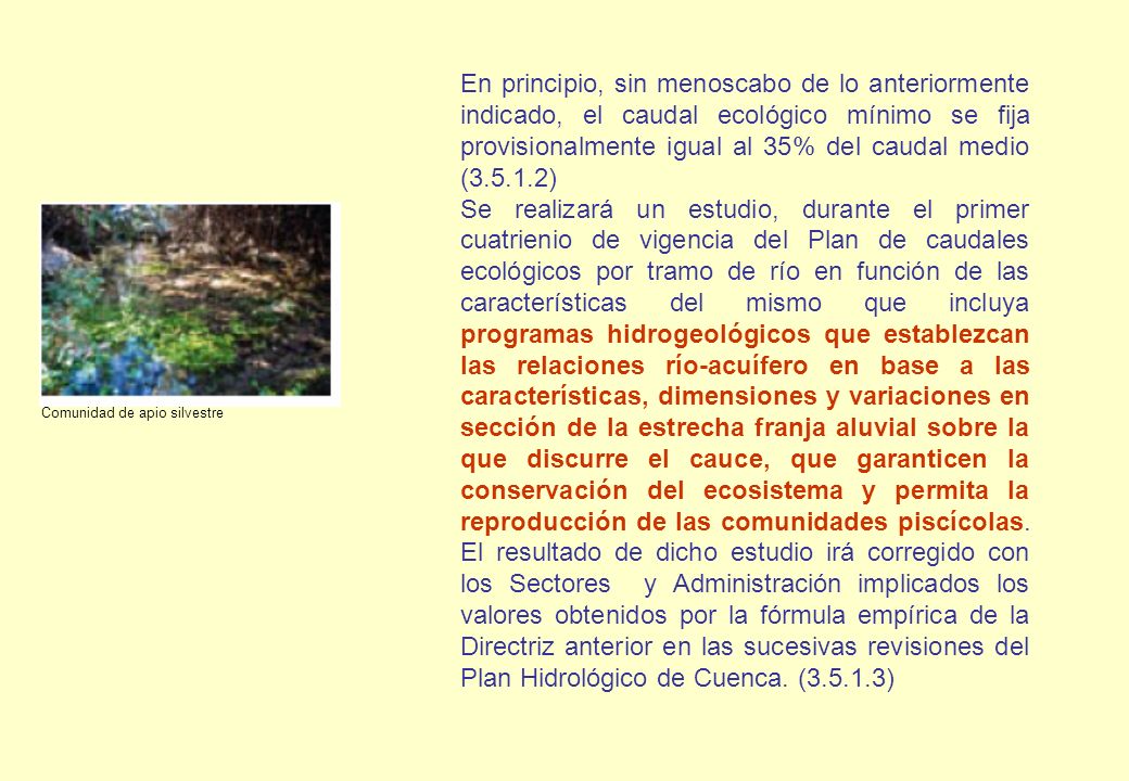 En principio, sin menoscabo de lo anteriormente indicado, el caudal ecológico mínimo se fija provisionalmente igual al 35% del caudal medio ( )