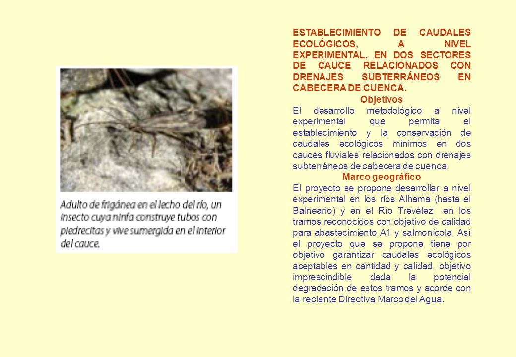 ESTABLECIMIENTO DE CAUDALES ECOLÓGICOS, A NIVEL EXPERIMENTAL, EN DOS SECTORES DE CAUCE RELACIONADOS CON DRENAJES SUBTERRÁNEOS EN CABECERA DE CUENCA.