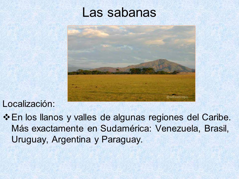 Las sabanas Localización: