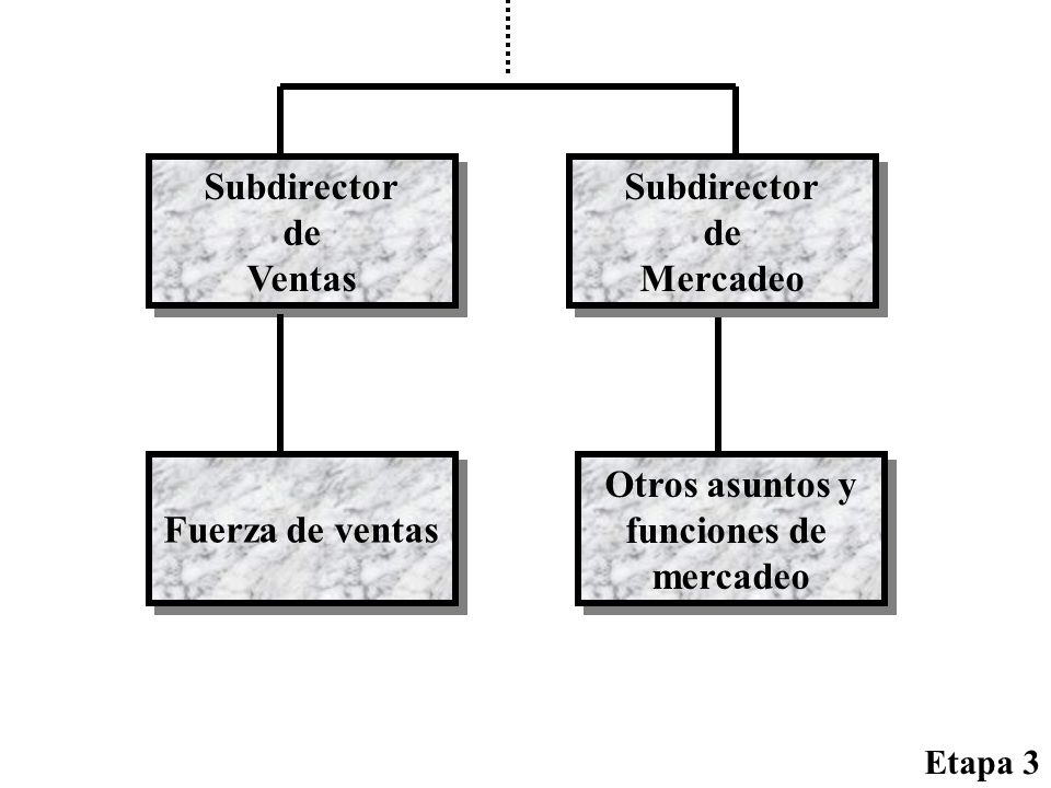 Subdirector de Ventas Subdirector de Mercadeo Fuerza de ventas