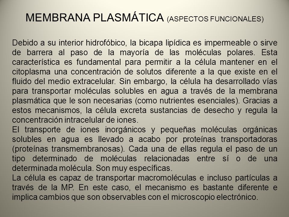 MEMBRANA PLASMÁTICA (ASPECTOS FUNCIONALES)